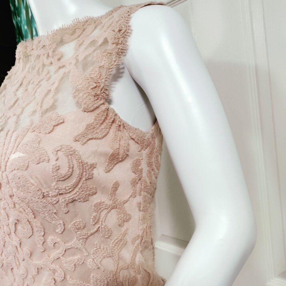 Tadashi Shoji Sheath Dress S Beige Rose Pink Lace Sleeveless - Picture 10 of 10